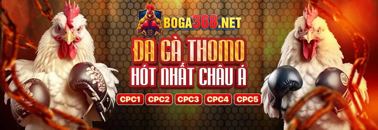 Banner khuyến mãi Zbet dành cho người chơi mới